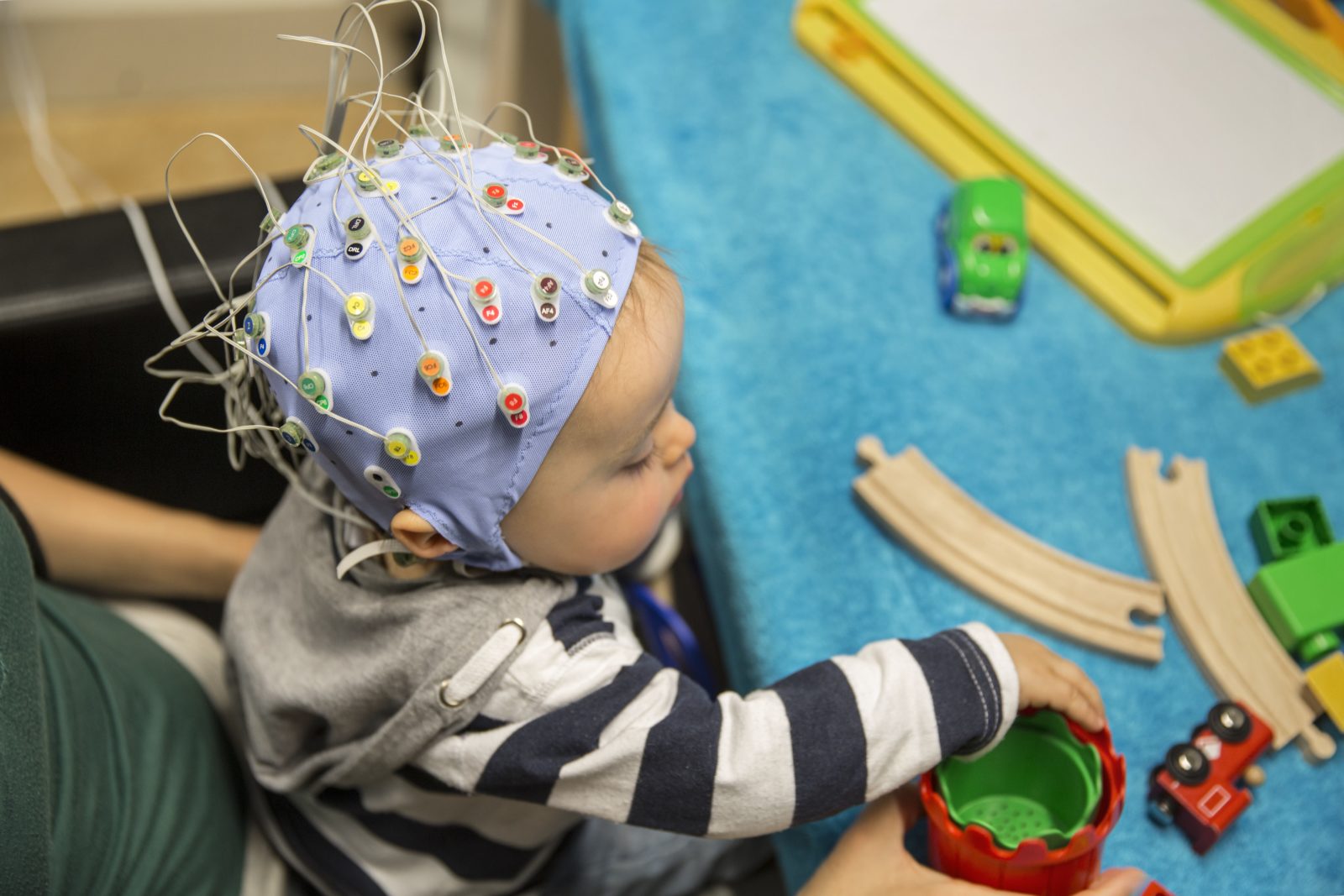 Babylab voor Taalonderzoek Baby EEG (hersensignalen)